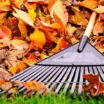 A close up of an autumn leaf pile with a rake