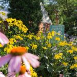A garden with yellow flowers and purple flowers.