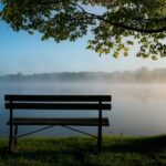 A bench sitting in the grass near water.
