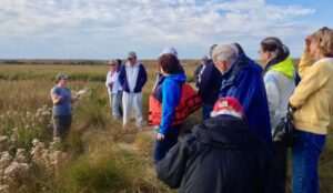 Poplar island 2