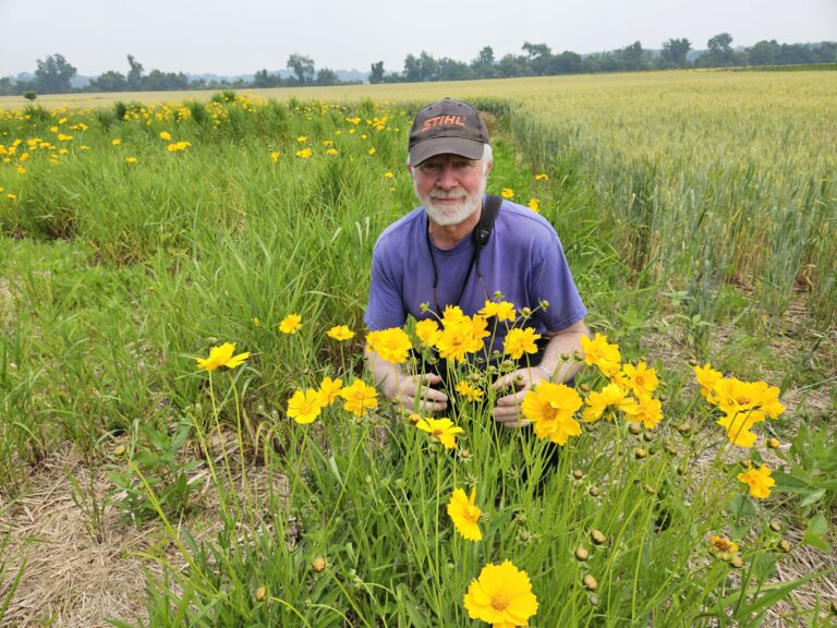 A man kneeling in the grass with yellow flowers.