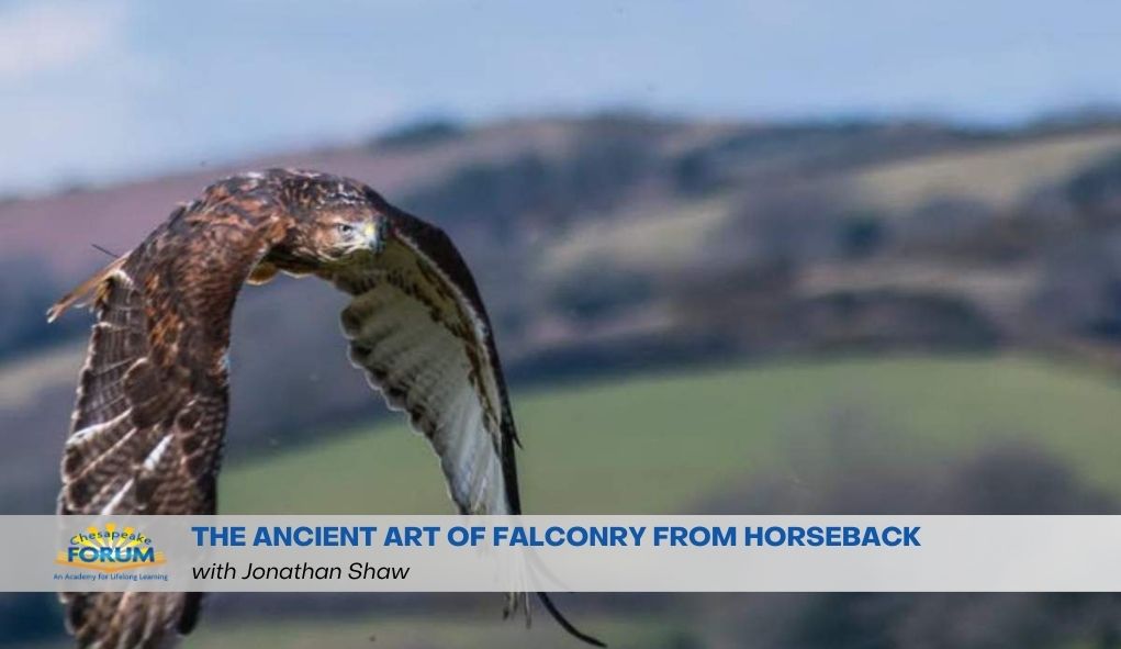 Falconry 2