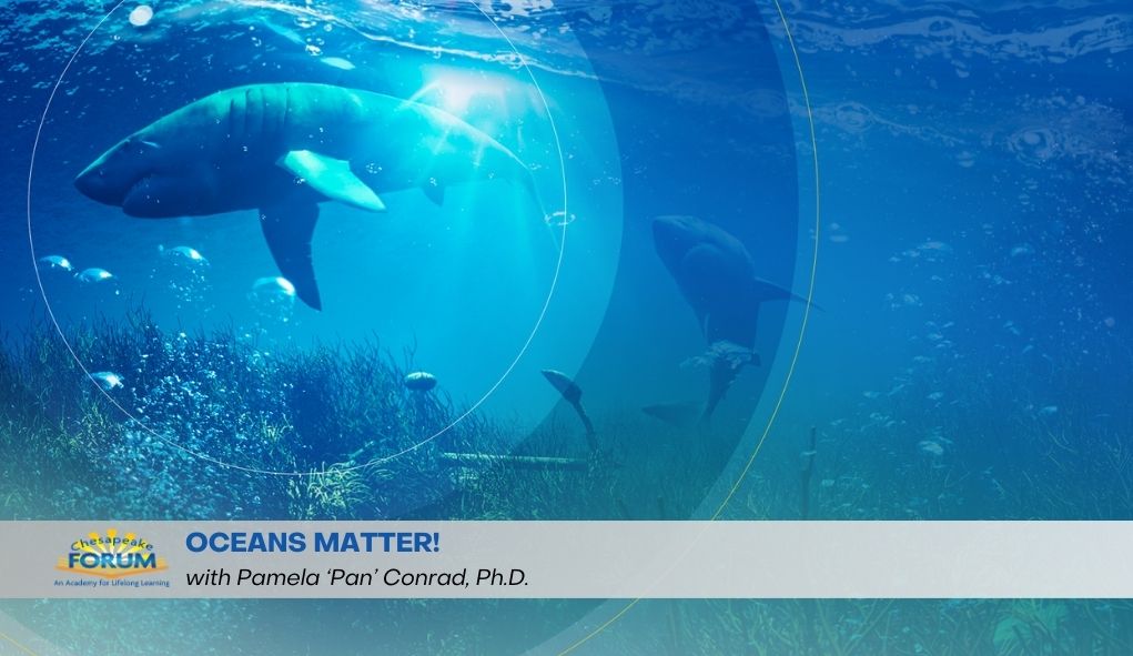 Oceans Matter 2