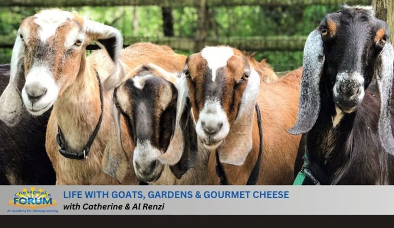 Life With Goats, Gardens & Gourmet Cheese