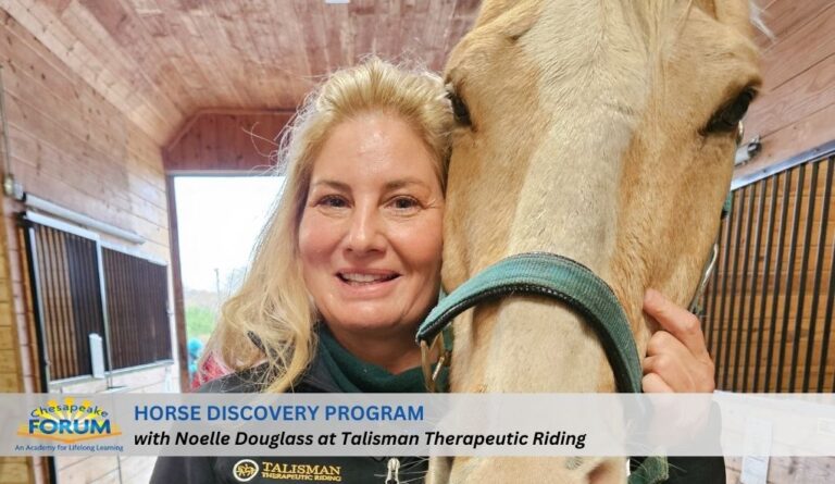 Horse discovery