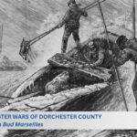 Oyster wars