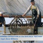 Skipjack nathan 3