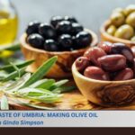 Umbria olive oil 5