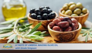 Umbria olive oil 5