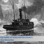 Oyster wars 3
