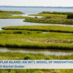 Poplar island