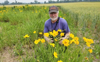 A man kneeling in the grass with yellow flowers.