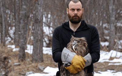 A man holding an owl in his hands.